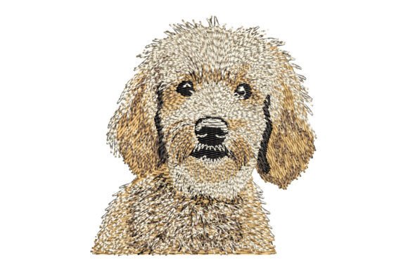 Goldendoodle Embroidery Design Review for Boutique Sweatshirts